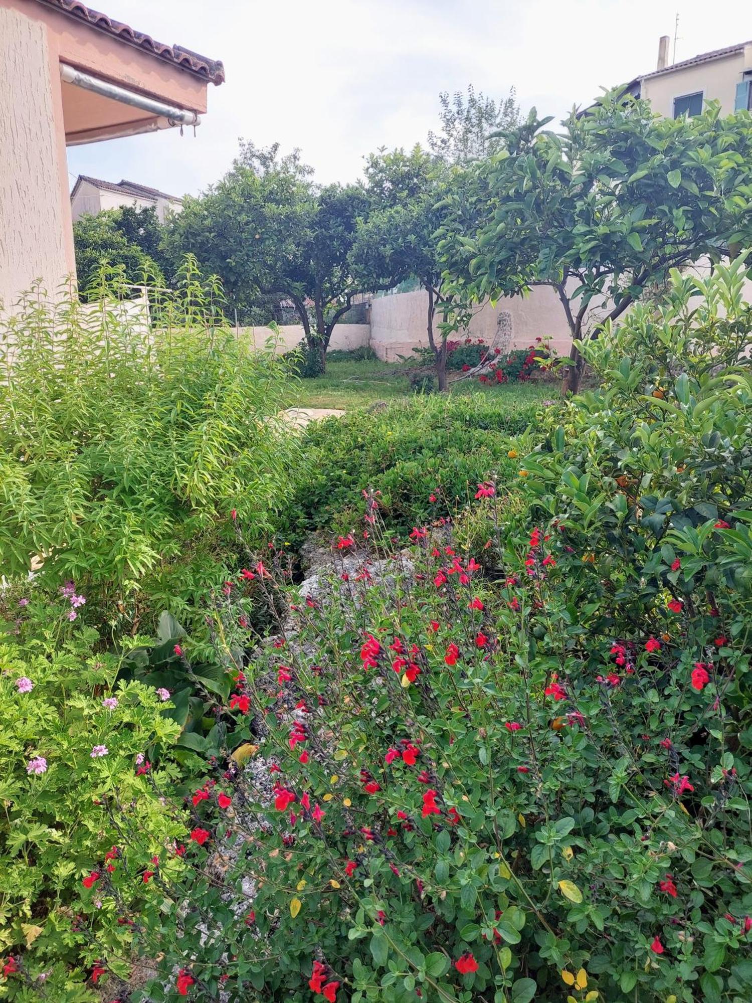 Summer Village House Popi Kanakades Exterior photo