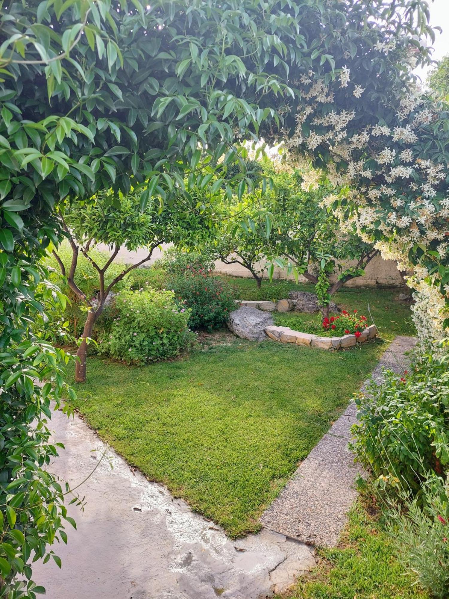 Summer Village House Popi Kanakades Exterior photo